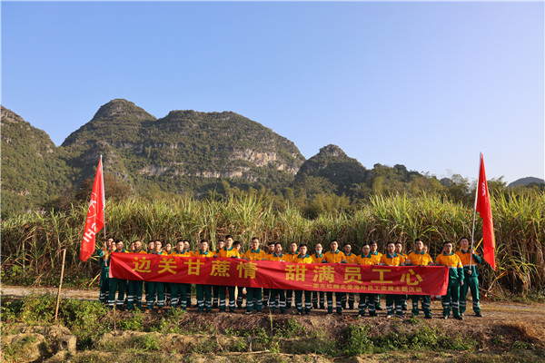 邊關(guān)甘蔗情，“甜”滿員工心—崇左紅獅助海外員工家屬收甘蔗